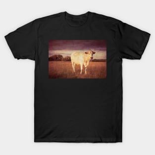 Bullock#11 T-Shirt